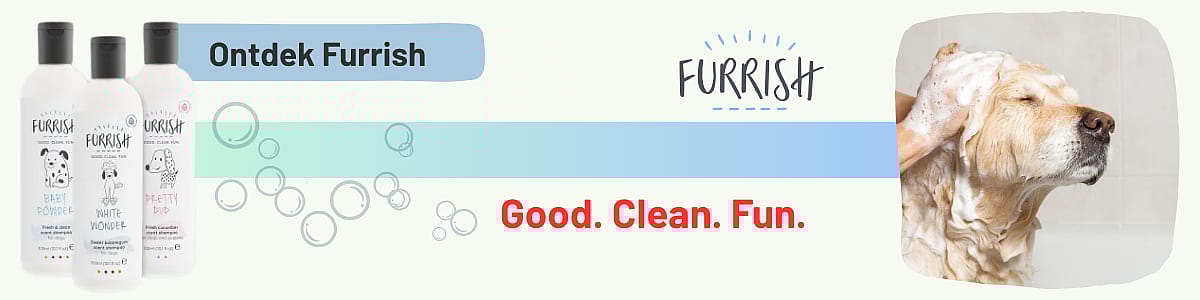 Hond, Zoogdier, Huisdier, Fles